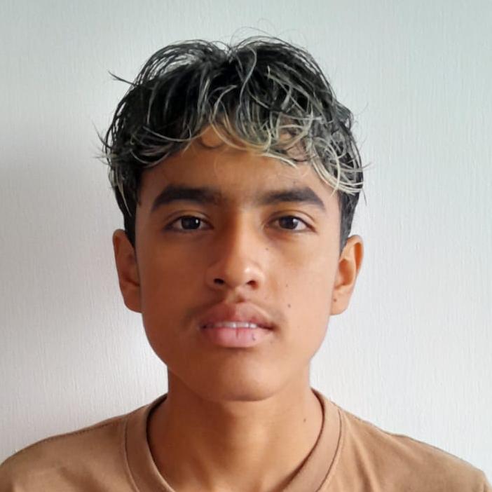 User Image