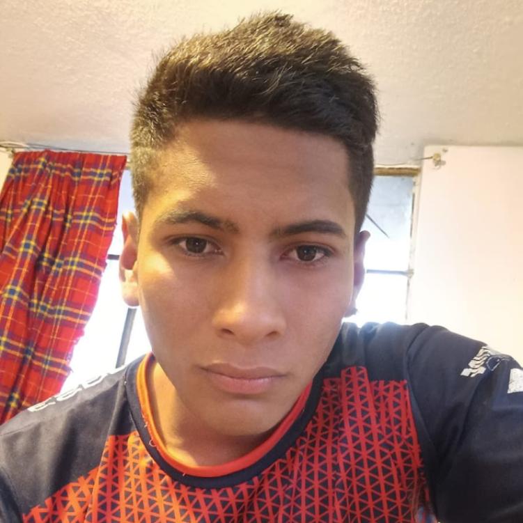User Image